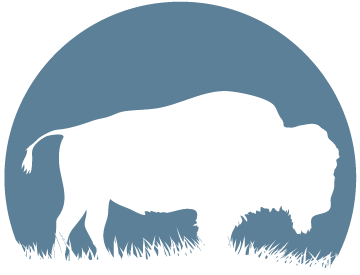 Buffalo Buffalo